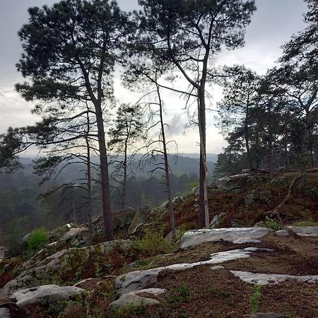 Gite Les Petites Bruyeres Veneux-les-Sablons エクステリア 写真