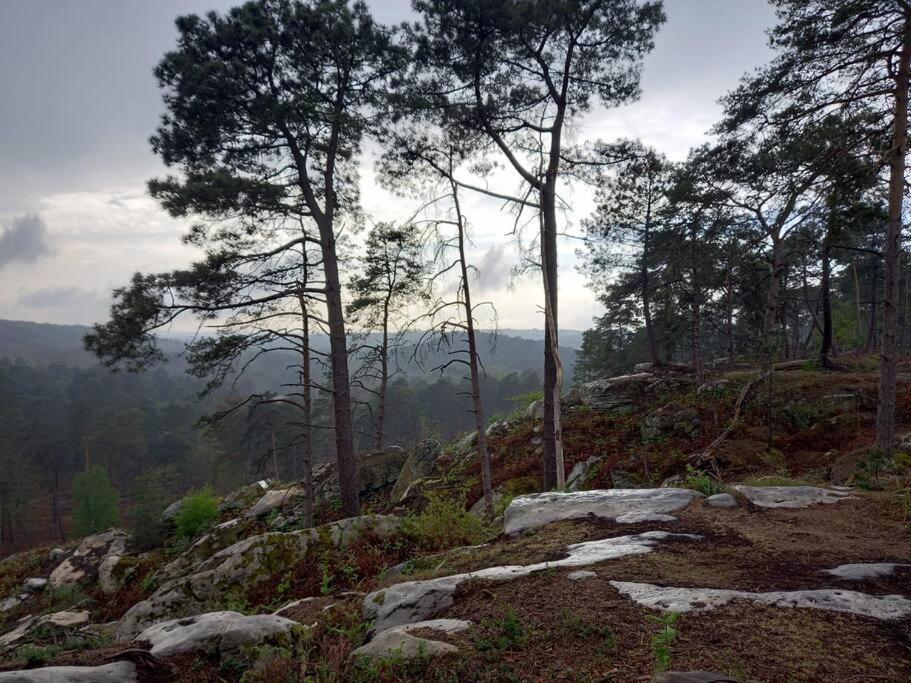 Gite Les Petites Bruyeres Veneux-les-Sablons エクステリア 写真